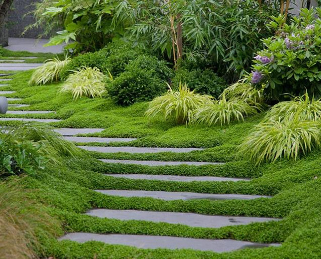 庭院道路