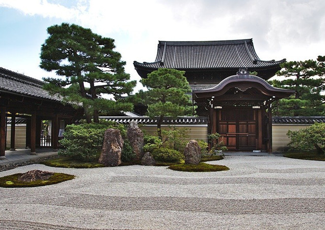 日式庭院松树