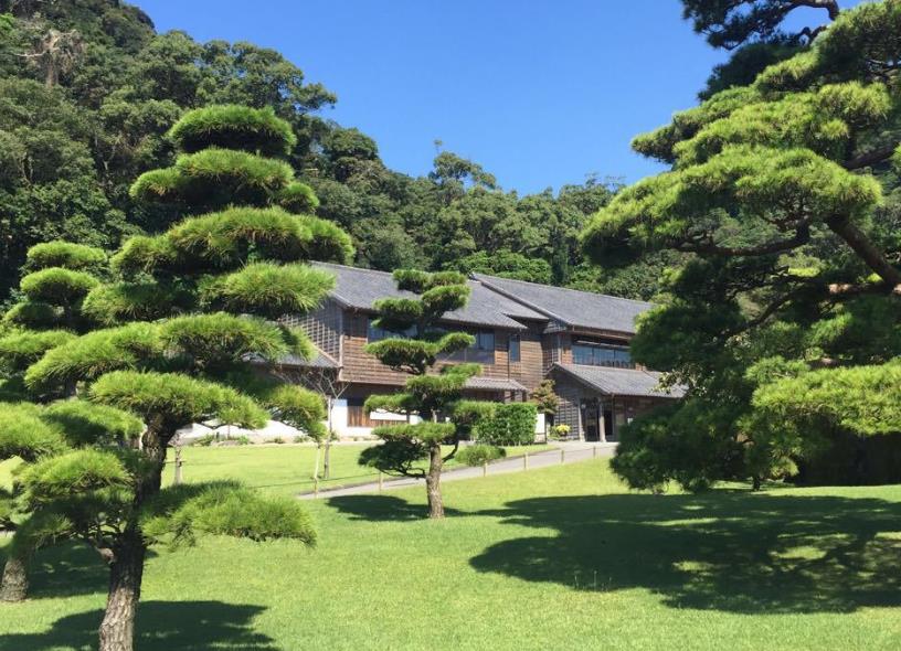 日式别墅庭院设计往往选择的有什么植物?