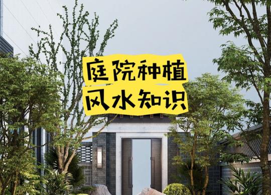 庭院种植风水知识：植物方位，周围建筑，植物的形态和颜色