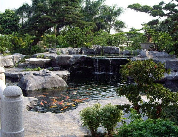 别墅鱼池景观设计要注意的三大重要事项：水质，照明及植物